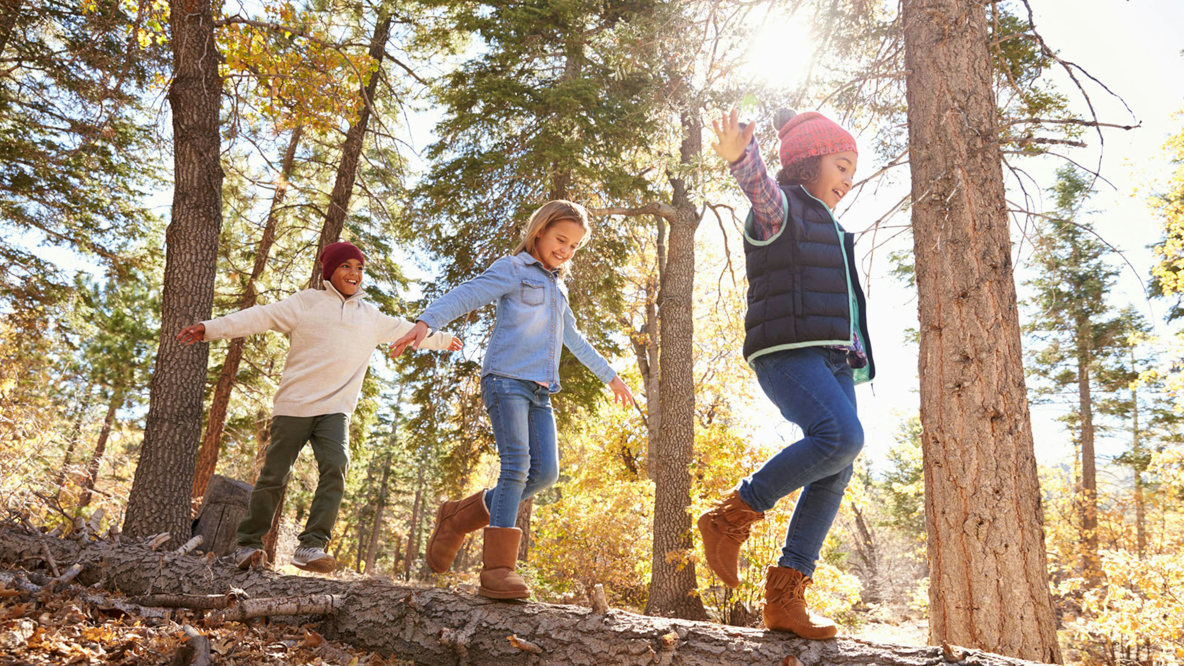 Drei Kinder balancieren auf einem umgestürzten Baum im Wald