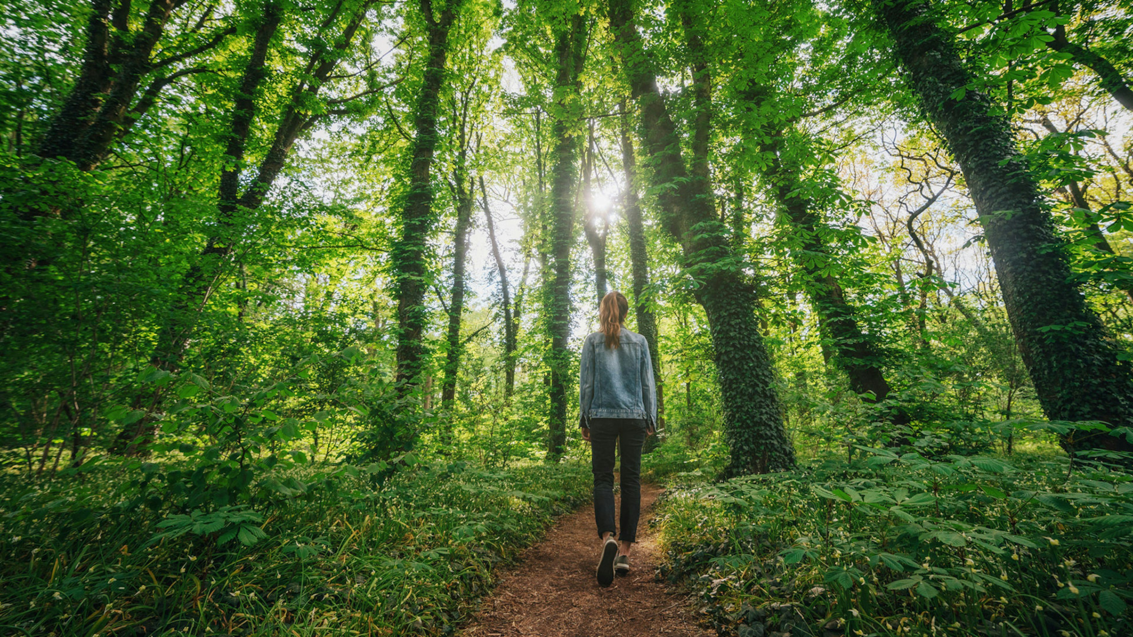 Junge Frau in Jeansjacke geht alleine im Wald spazieren