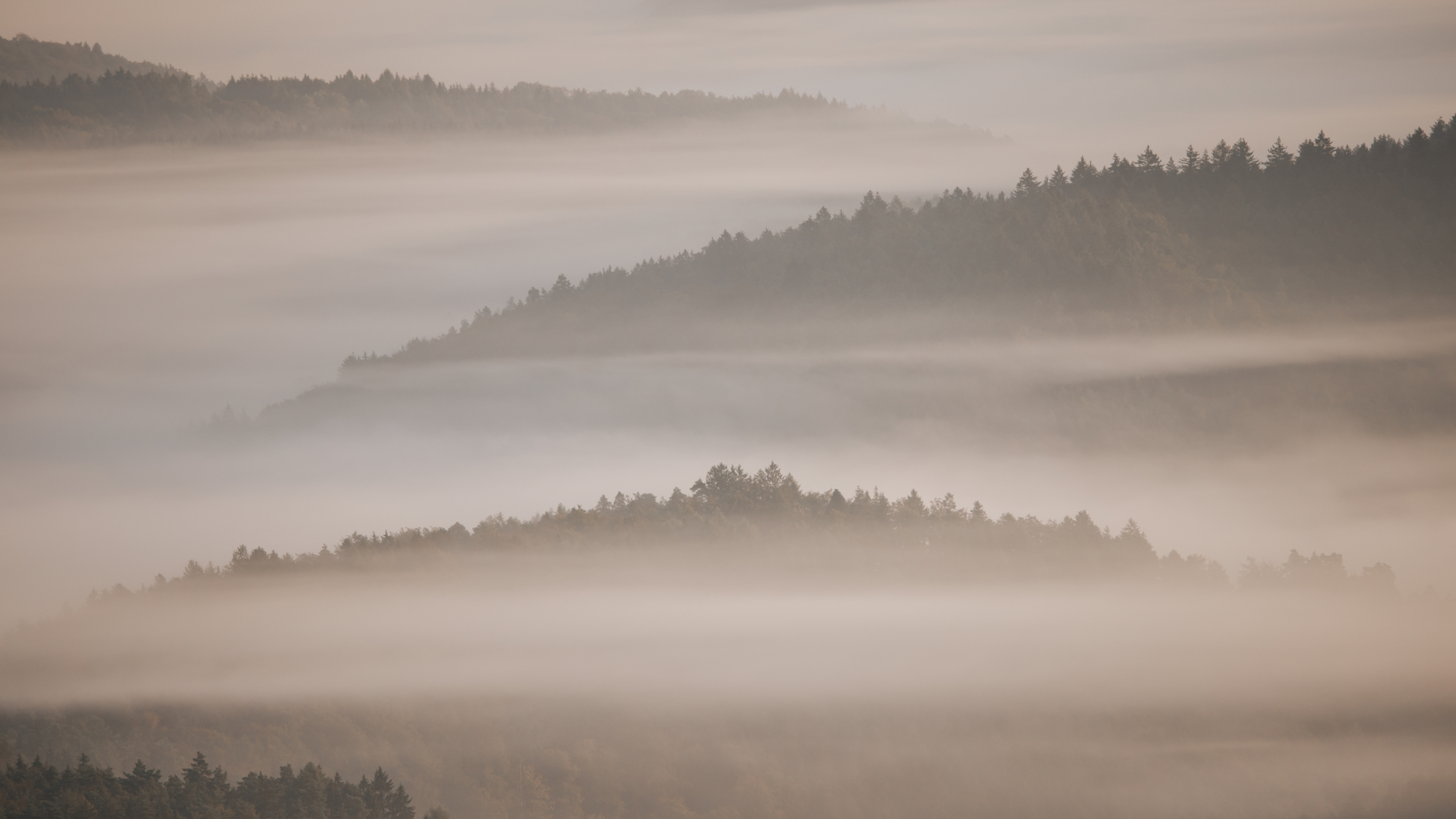 Eine Landschaftsaufnahmen am morgen von den Wäldern der Eifel, völlig in Nebel getaucht