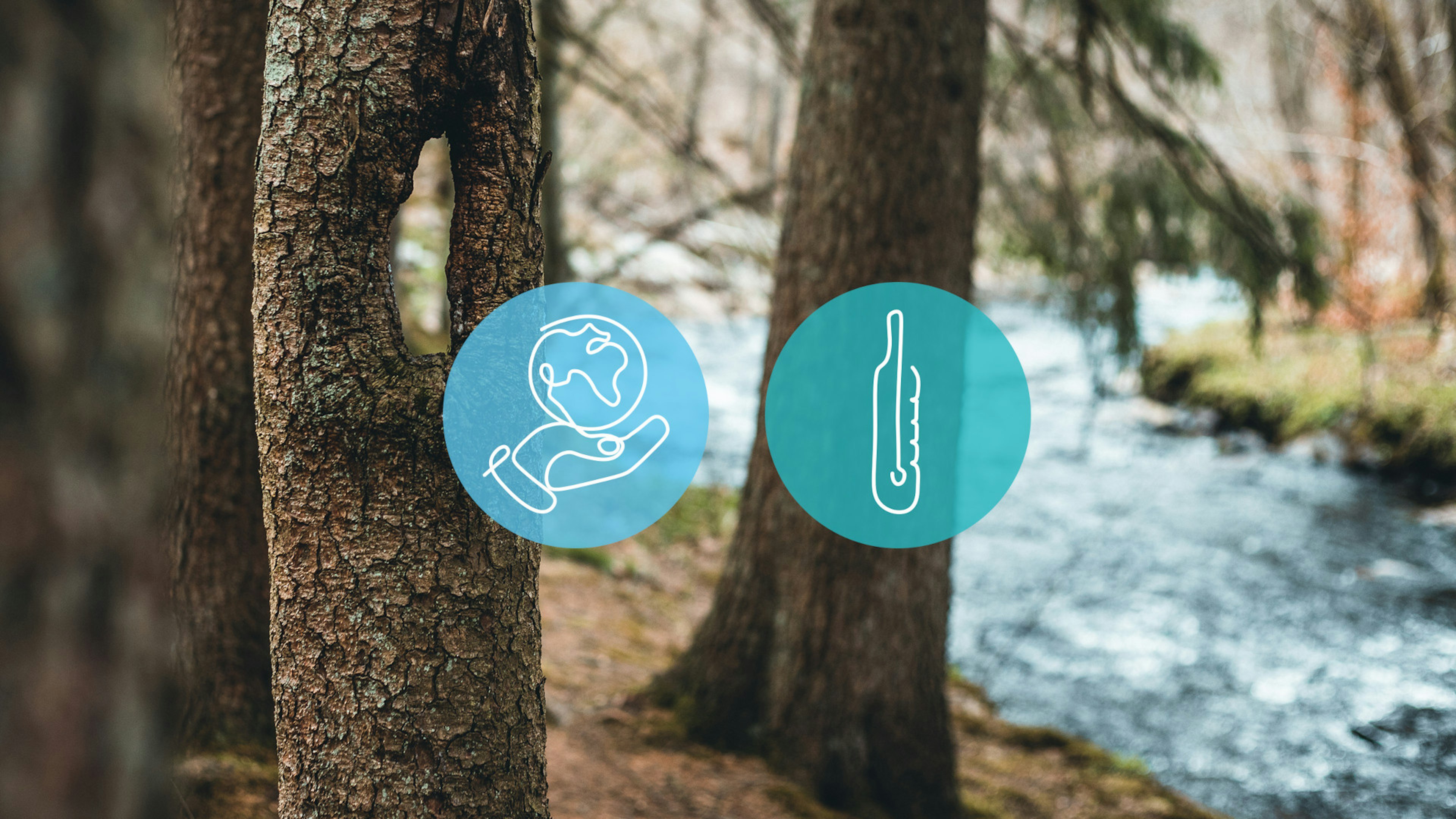 Zwei Nachhaltigkeit Buttons vor einem Wald Hintergrund